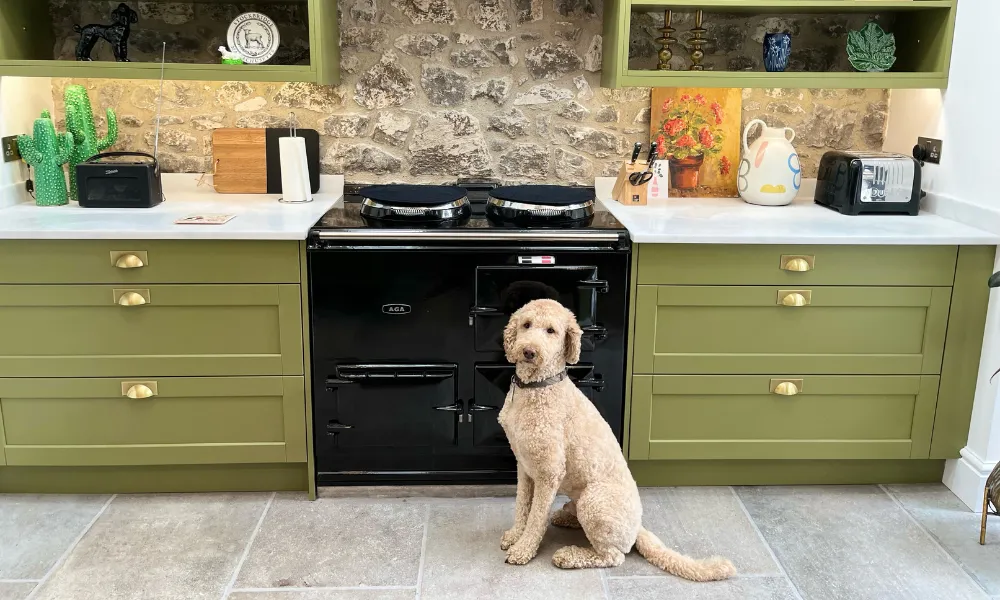 Aga home: A black aga cooker in a green kitchen